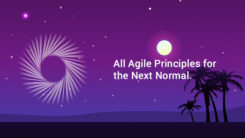 All Agile