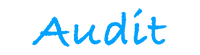 Audit
