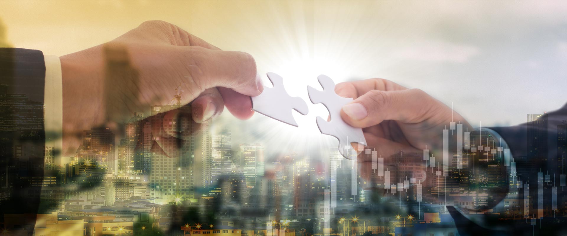 Virtuos Alliance Partners