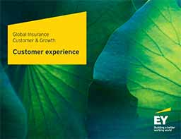 Global Insurance Customer & Growth