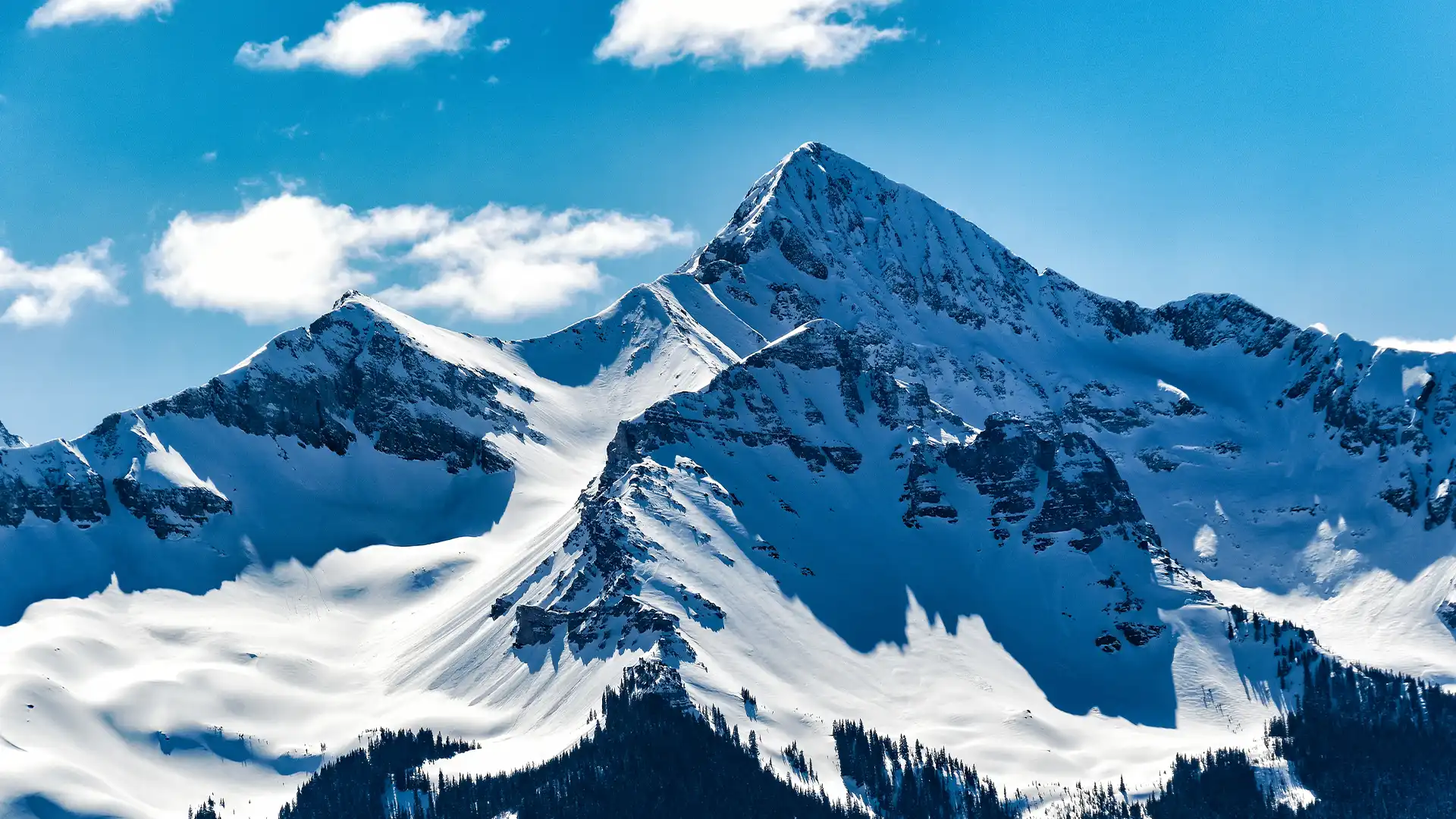 Virtuos Marks 18 Years with Quantum Altitude